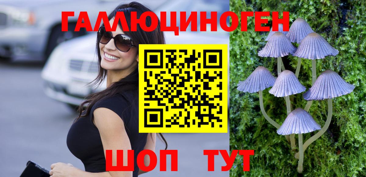 Псилоцибиновые грибы Cubensis Чернушка