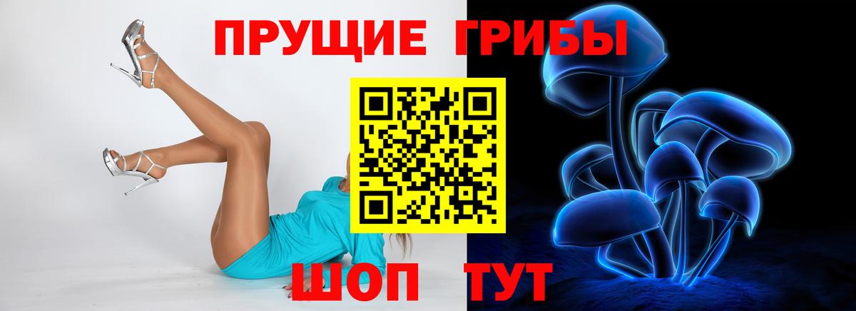 Чернушка  Псилоцибиновые грибы Magic Shrooms  Вход с VPN 